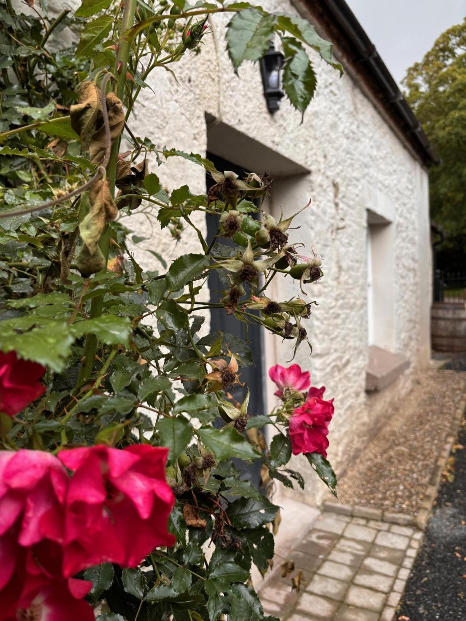 Holiday home The Cottage, Walworth Demesne *
