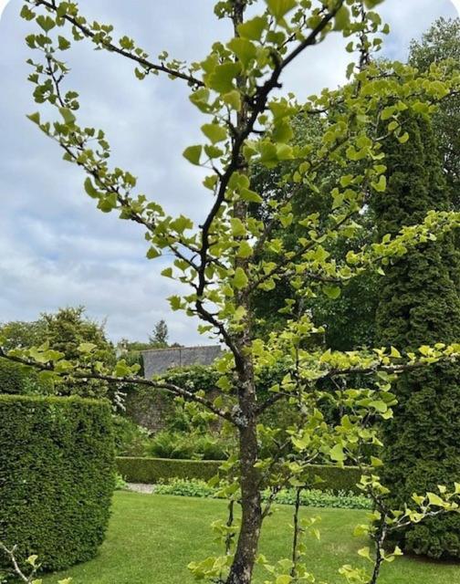 The Cottage, Walworth Demesne Ballykelly