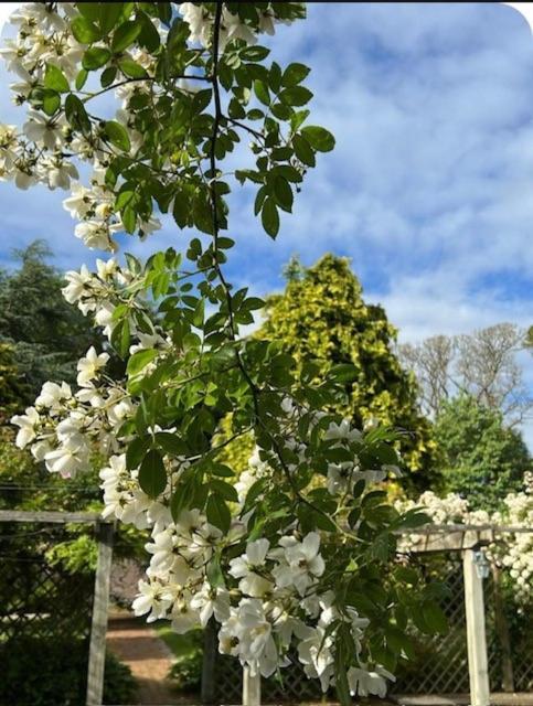 Holiday home The Cottage, Walworth Demesne *