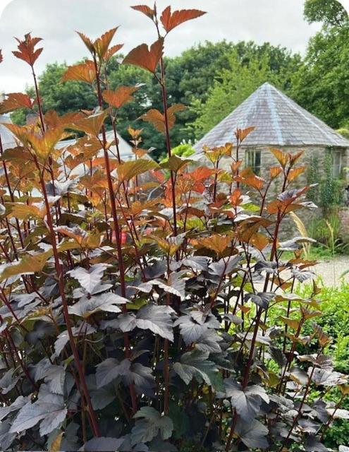 The Cottage, Walworth Demesne Holiday home Ballykelly
